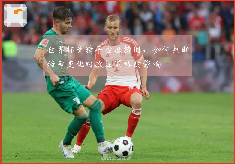 世界杯竞猜平台选择时，如何判断赔率变化对投注策略的影响